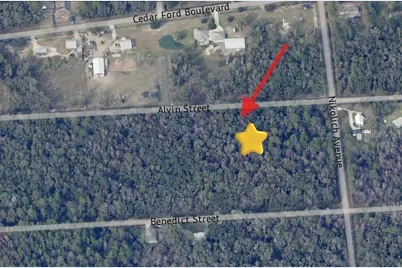 4725 & 4715 Alvin Street, Hastings, FL 32145 - Photo 3