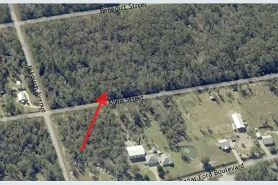 4725 & 4715 Alvin Street, Hastings, FL 32145 - Photo 5