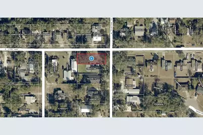 Clayton Street N, Mount Dora, FL 32757 - Photo 3
