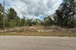 19 Fisher Lane Track, Ocklawaha, FL 32179 - Photo 1