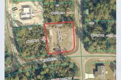 189 Fisher Court, Ocklawaha, FL 32179 - Photo 1