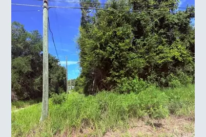 Ne 249th Court, Salt Springs, FL 32134 - Photo 3
