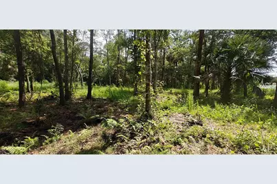 8401 Amelia Trail, Kissimmee, FL 34747 - Photo 9
