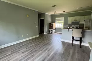 234 Southern Pecan Cir, Winter Garden, FL 34787 - Photo 3