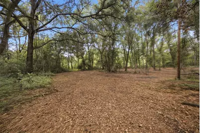 0 Old Dade City Road, Kathleen, FL 33849 - Photo 9