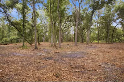 0 Old Dade City Road, Kathleen, FL 33849 - Photo 11