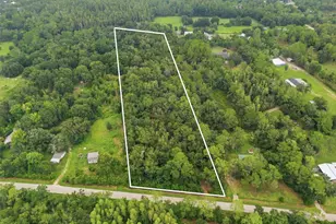 0 Old Dade City Rd, Kathleen, FL 33849 - Photo 1