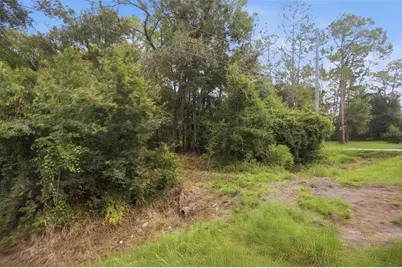 0 Old Dade City Road, Kathleen, FL 33849 - Photo 15