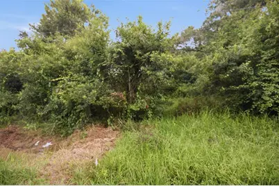 0 Old Dade City Road, Kathleen, FL 33849 - Photo 13