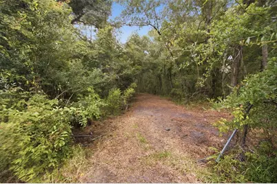 0 Old Dade City Road, Kathleen, FL 33849 - Photo 17