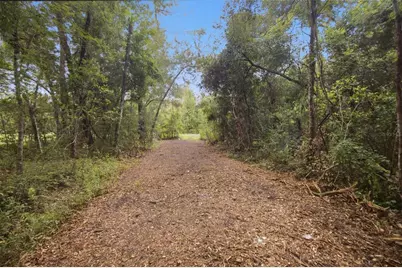 0 Old Dade City Road, Kathleen, FL 33849 - Photo 19