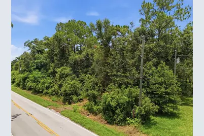 0 Old Dade City Road, Kathleen, FL 33849 - Photo 23