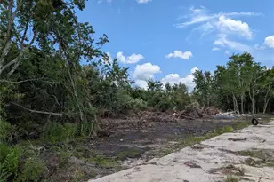 Jefferson Ave, Orlando, FL 32820 - Photo 1