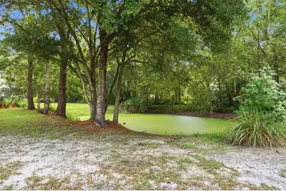 4784 Oren Brown Road, Kissimmee, FL 34746 - Photo 41