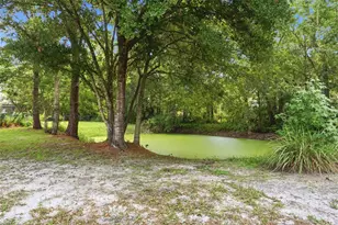 4784 Oren Brown Rd, Kissimmee, FL 34746 - Photo 41