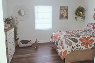 121 Bay St, Tarpon Springs, FL 34689 - Photo 11