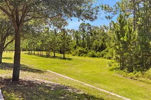 10509 Spring Arbor Ln, Winter Garden, FL 34787 - Photo 47