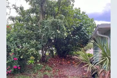 6445 River Road, New Port Richey, FL 34652 - Photo 9