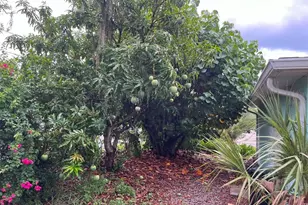 6445 River Rd, New Port Richey, FL 34652 - Photo 9