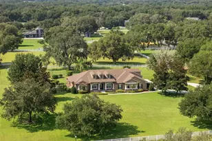 351 Kentucky Blue Cir, Apopka, FL 32712 - Photo 5