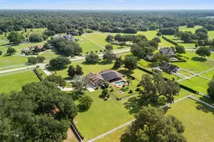 351 Kentucky Blue Cir, Apopka, FL 32712 - Photo 7