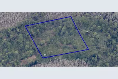 Dill Road, Orlando, FL 32820 - Photo 5