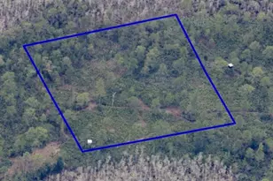 Dill Rd, Orlando, FL 32820 - Photo 5