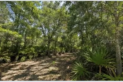 1231 Camilo Street, Lake Placid, FL 33852 - Photo 3