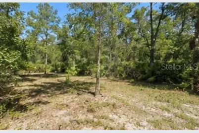 1231 Camilo Street, Lake Placid, FL 33852 - Photo 5
