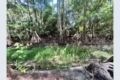14427 SE 183rd Place, Hawthorne, FL 32640 - Photo 7