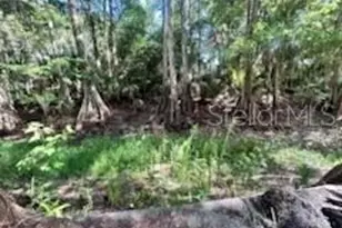 14427 SE 183rd Pl, Hawthorne, FL 32640 - Photo 7