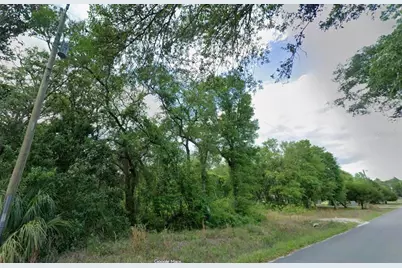 413 NE 808th Street, Old Town, FL 32680 - Photo 3