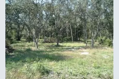 413 NE 808th Street, Old Town, FL 32680 - Photo 1