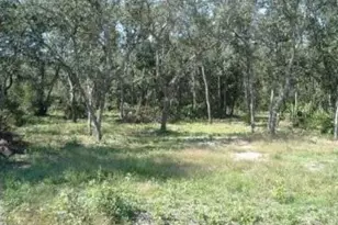 413 NE 808th St, Old Town, FL 32680 - Photo 1