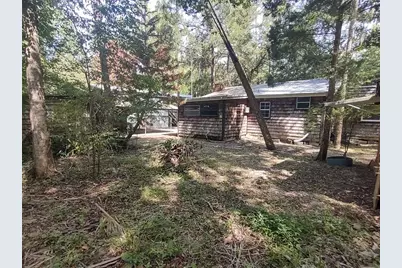 56508 Blue Creek Road, Astor, FL 32102 - Photo 47