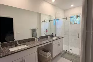10805 Fanning Spgs Ct, Tampa, FL 33647 - Photo 3