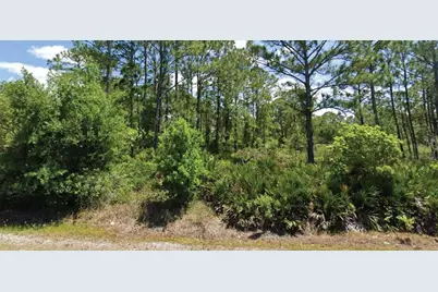 648 Pershing Avenue, Lake Placid, FL 33852 - Photo 1