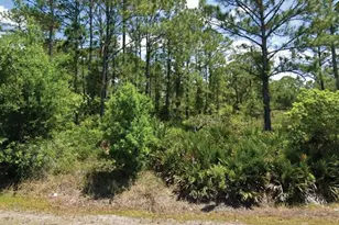648 Pershing Ave, Lake Placid, FL 33852 - Photo 1