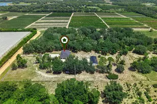 7739 N Cherry Lake Groves Rd, Groveland, FL 34736 - Photo 39