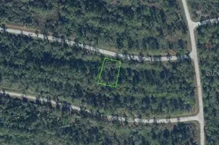8433 Capilla St, Sebring, FL 33872 - Photo 1