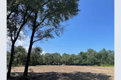 Tbd SW 98th Street, Dunnellon, FL 34432 - Photo 7