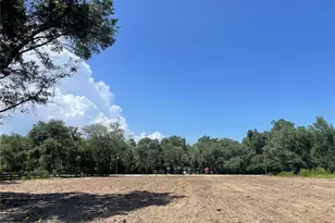 Tbd SW 98th St, Dunnellon, FL 34432 - Photo 3