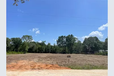 Tbd SW 98th Street, Dunnellon, FL 34432 - Photo 5