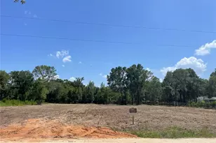 Tbd SW 98th St, Dunnellon, FL 34432 - Photo 5