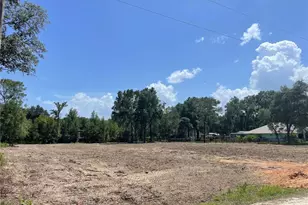 Tbd SW 98th St, Dunnellon, FL 34432 - Photo 49