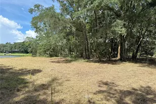 1937 Hidden Pine Ln, Apopka, FL 32712 - Photo 49
