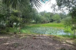 1937 Hidden Pine Ln, Apopka, FL 32712 - Photo 41