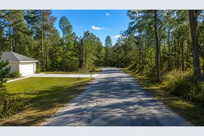 Fisher Crse, Ocklawaha, FL 32179 - Photo 3