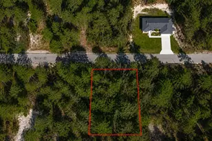 Fisher Crse, Ocklawaha, FL 32179 - Photo 1
