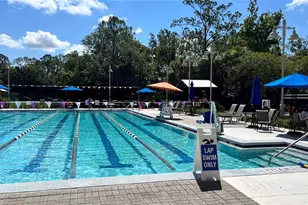 650 Campus St, Celebration, FL 34747 - Photo 45